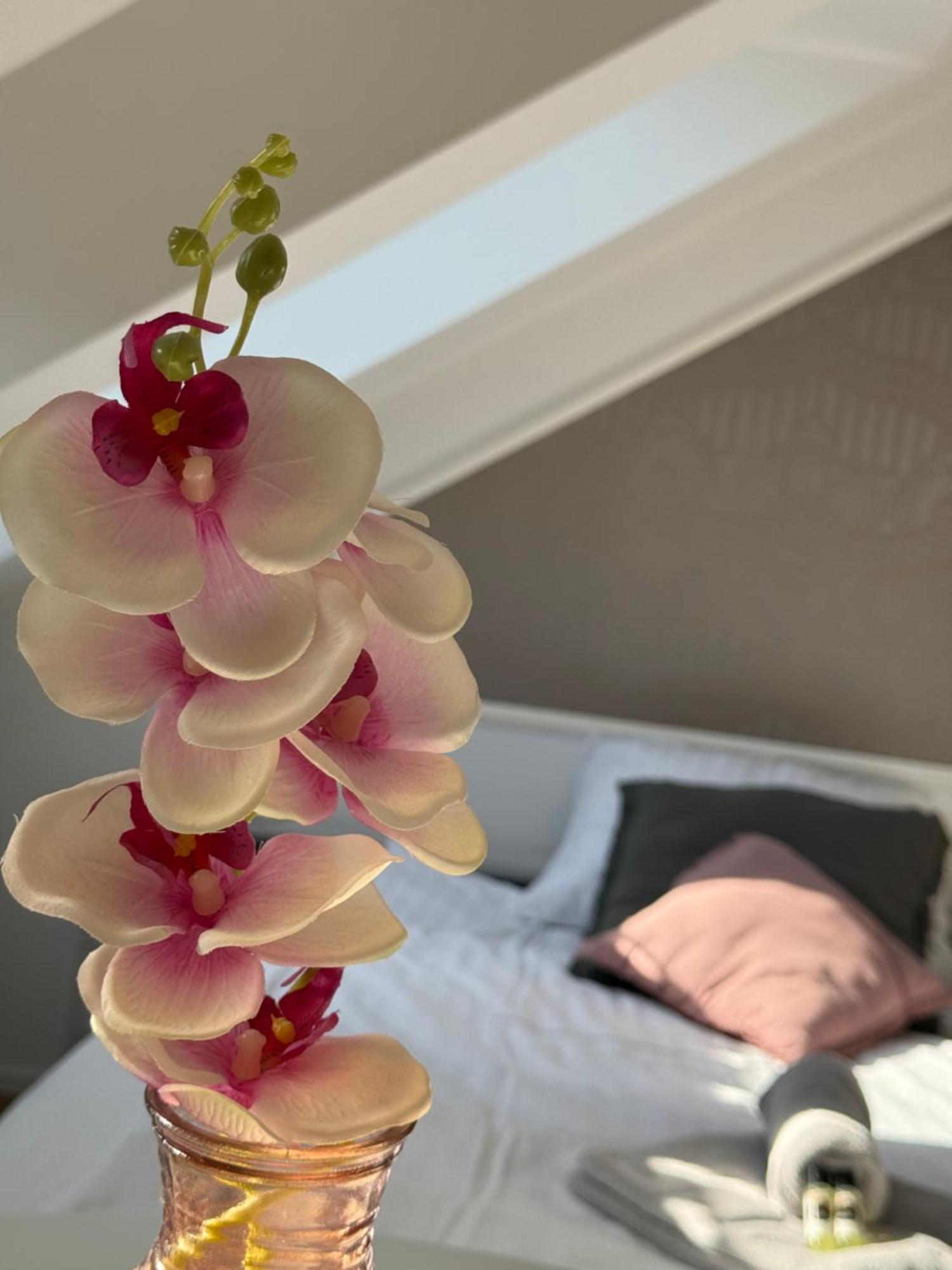 Cozy apartments Lublana Zewnętrze zdjęcie